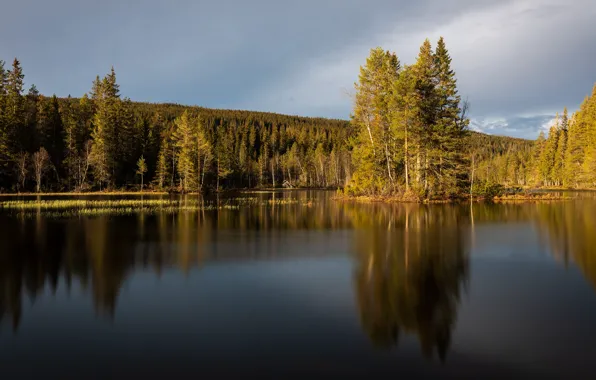 Лес, небо, вода, облака, свет, деревья, озеро, отражение