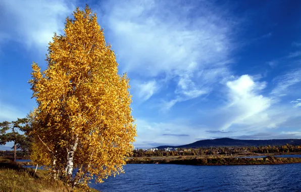 Картинка осень, небо, листья, облака, река, берег, желтые, березы