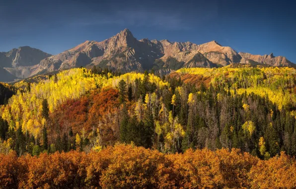 Природа, Autumn, Colorado