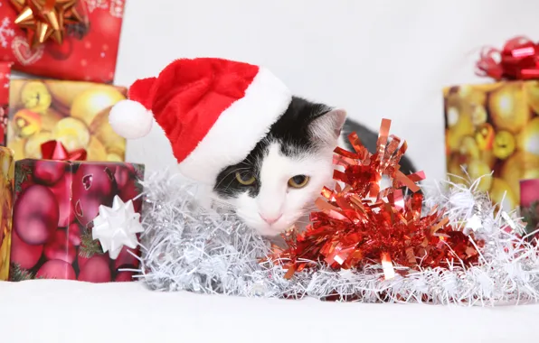 Картинка кошка, кот, подарки, Новый год, котёнок, мишура, колпак, коробки
