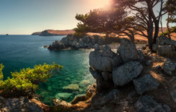 Море, деревья, природа, камни, Приморский край, Андрей Кровлин