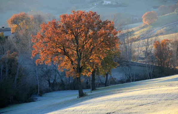 Картинка осень, снег, деревья, горы, холмы, поля, дымка