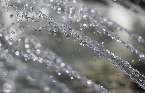 Картинка Макро, Вода, Капли, Water, Боке, Bokeh, Macro, Drops