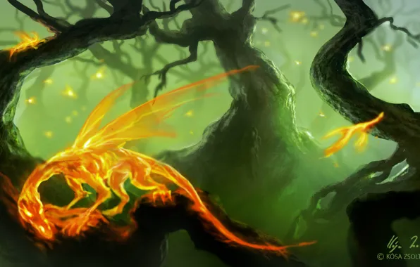 Картинка лес, деревья, крылья, фантастика. арт, Zsolt Kosa, огненные драконы