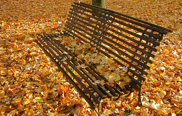 Осень, листья, парк, сквер, скамья