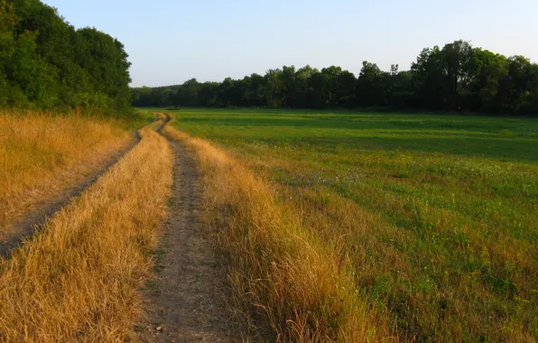 Картинка поле, природа, дорожка, Nature, тропинка, field, track