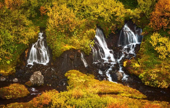 Осень, лес, камни, скалы, растительность, водопад, склон, водопады