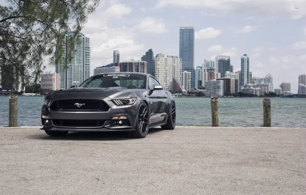 Mustang, Ford, S550, Velgen, Wheels VMB6 SB