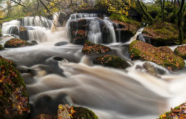 Картинка осень, лес, река, камни, Франция, водопады, каскад, France