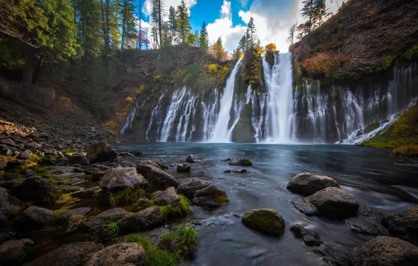 Деревья, скала, камни, водопад, мох, California, McArthur-Burney Falls Memorial State Park, Burney Falls