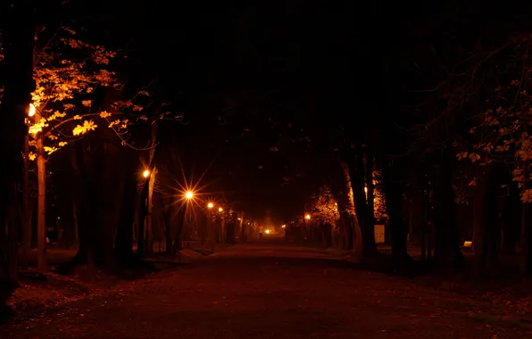 Дорога, свет, деревья, ночь, огни, города, дерево, настроение