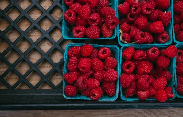Ягоды, малина, еда, урожай, ящик, много, контейнеры, вкусно