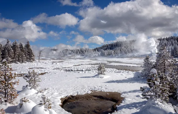 Картинка landscape, winter, Yellowstone National Park, Norris Geyser Basin