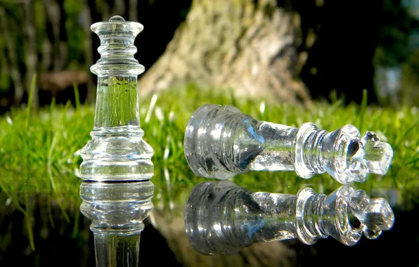 Трава, стекло, вода, макро, природа, отражение, игра, шахматы
