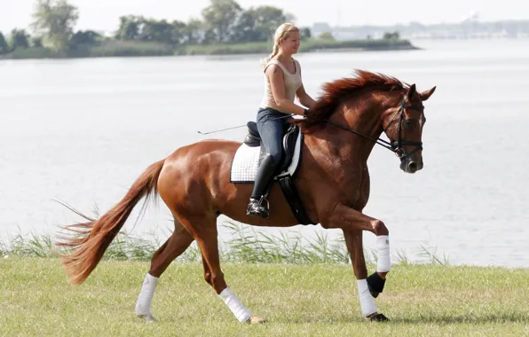 Girl, horse, sports
