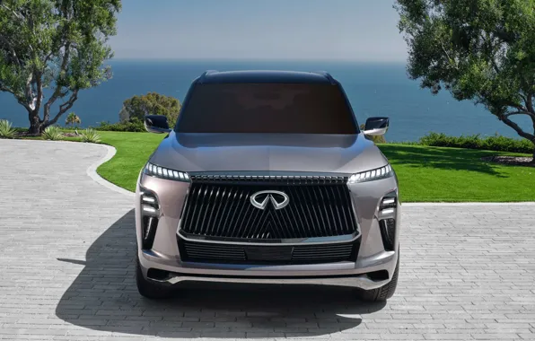 Картинка внедорожник, Infiniti, люкс, luxury, SUV, QX80, Infiniti QX80 Monograph, 2023