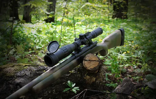 Весна, снайпер, винтовка, sniper, rifle, 2016, страйбол, м24