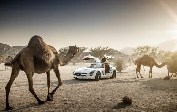 Картинка Mercedes-Benz, Sky, AMG, Sun, SLS, White, Supercar, Desert