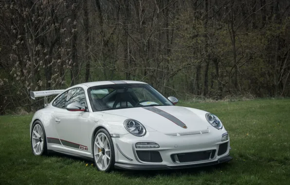 911, Porsche, white, 4.0