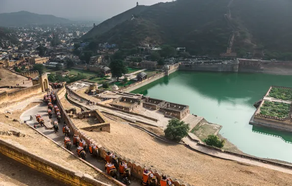 Картинка Панорама, Индия, Слоны, Panorama, Rajasthan, Udaipur, Раджастхан, Удайпур