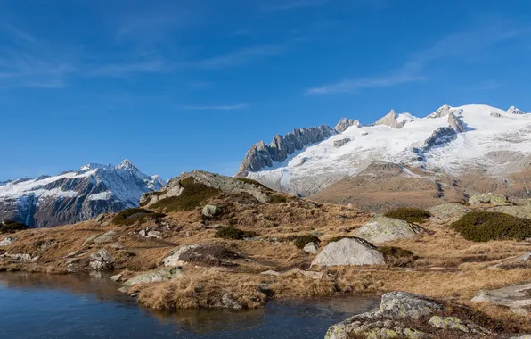 Горы, природа, Switzerland, Fusshorner Bettmeralp