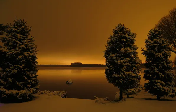 Небо, снег, деревья, озеро, вечер