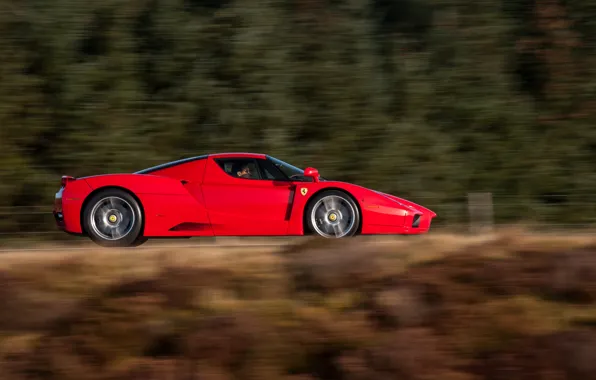 Ferrari, red, Ferrari Enzo, Enzo, side view