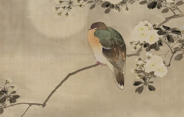 Листья, дерево, птица, листва, картина, Япония, акварель