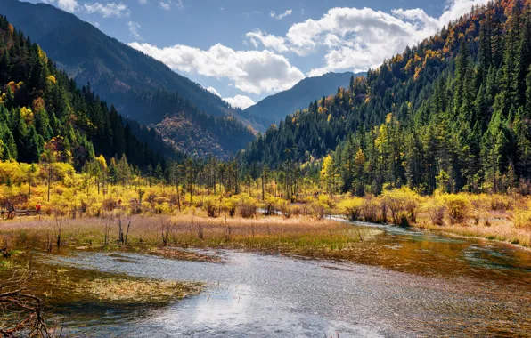 Картинка Природа, Горы, Озеро, Лес, Китай, Парк, Пейзаж, Jiuzhai Valley National Park