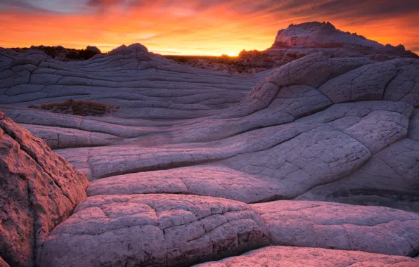 Картинка закат, вечер, Аризона, национальный парк, монумент, Белый карман