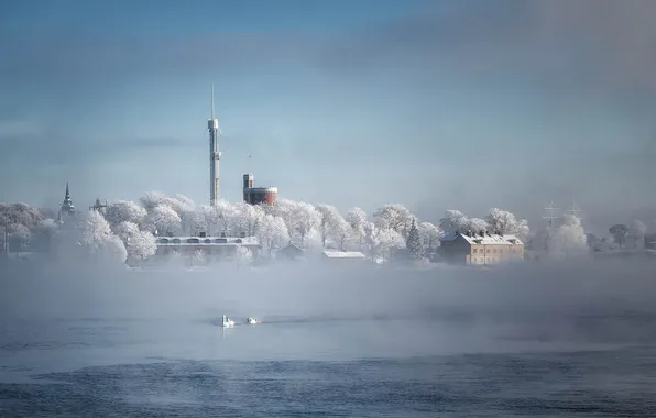 Картинка зима, иней, Стокгольм, Швеция