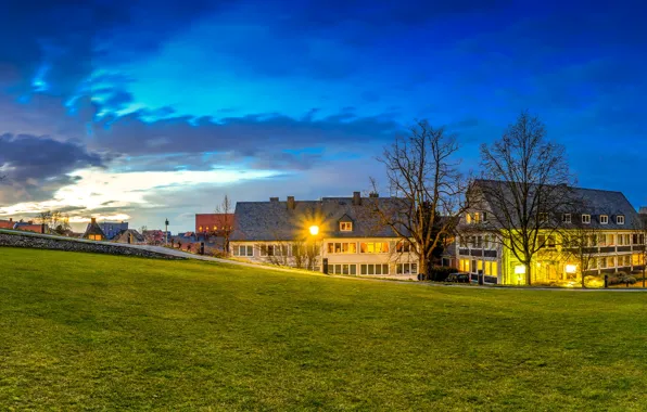 Трава, деревья, газон, дома, вечер, Германия, фонари, Goslar