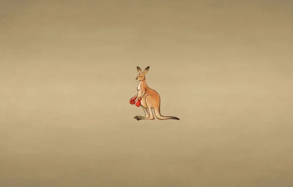 Картинка животное, минимализм, кенгуру, боксерские перчатки, kangaroo, темноватый фон, проницательный взгляд