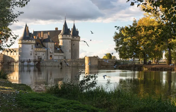 Картинка птицы, пруд, замок, Франция, Sully sur Loire