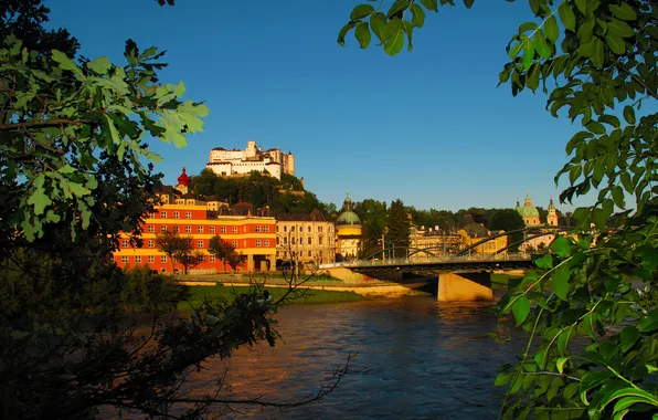 Картинка ветки, мост, река, гора, дома, Австрия, крепость, Salzburg