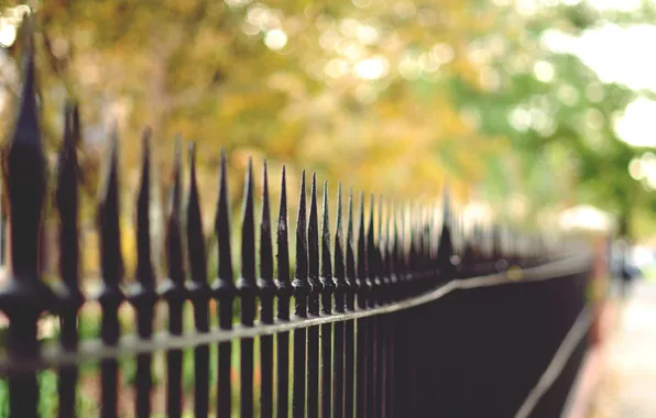 Картинка забор, ограда, боке