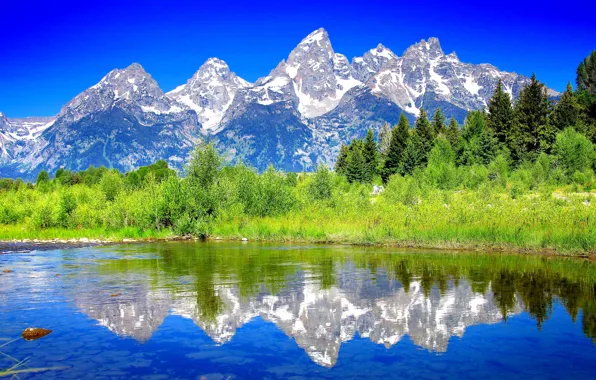 Картинка деревья, пейзаж, горы, река