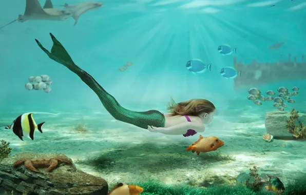 Картинка русалка, девочка, Little Mermaid, рыбы, подводный мир