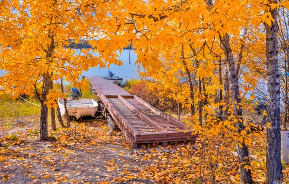Картинка осень, листья, деревья, озеро, лодка, мостик