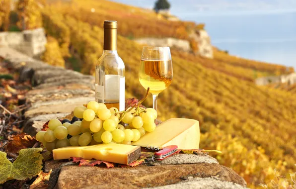 Картинка вино, еда, сыр, виноград