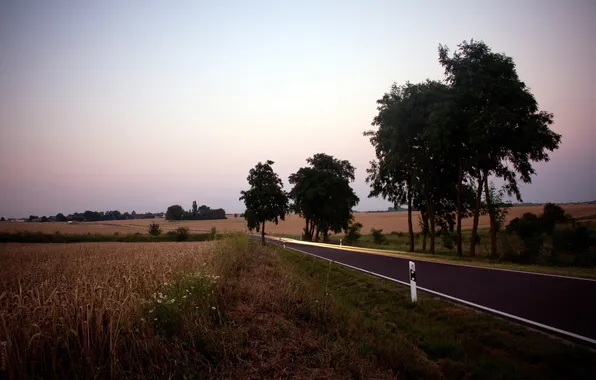 Дорога, поле, пейзаж