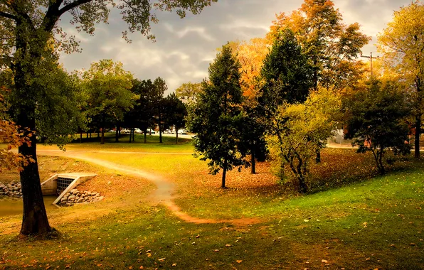 Картинка осень, небо, трава, деревья, тучи, природа, листва, вечер