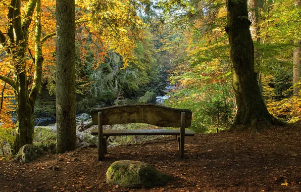 Картинка осень, деревья, скамейка, парк, ручей, камни, мох, Шотландия
