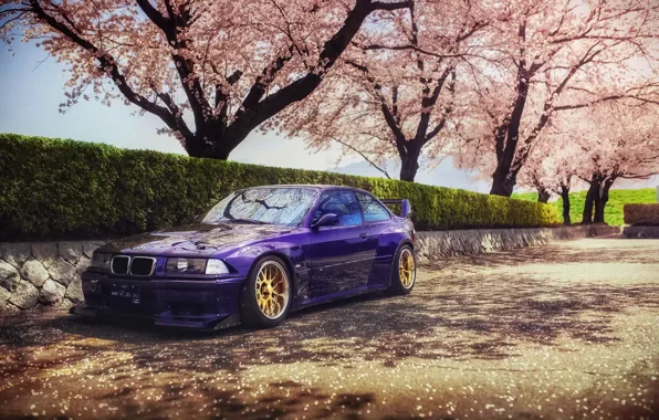Картинка весна, Япония, сакура, BMW, speedhunters, E36, Rocket Bunny, M3