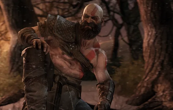Лес, ночь, рендеринг, бог, борода, god of war, kratos