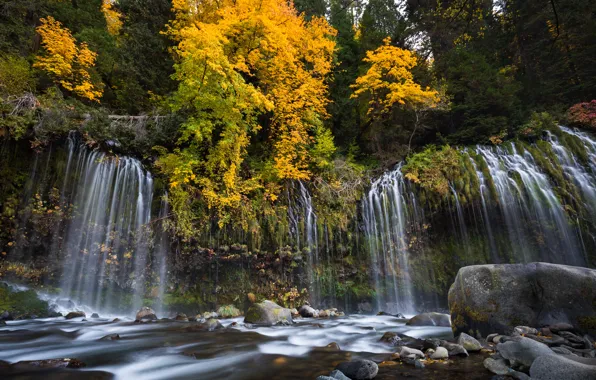 Картинка осень, лес, деревья, река, камни, водопад, Калифорния, каскад