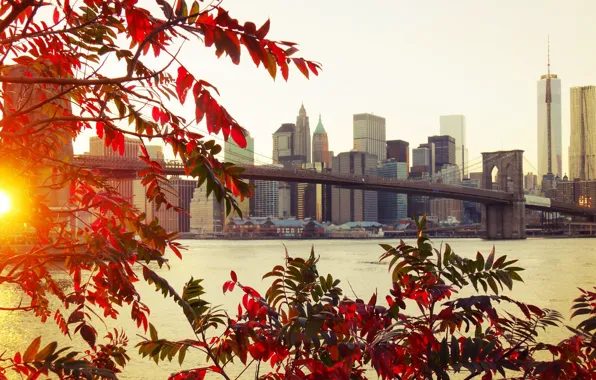 Осень, листья, мост, город, Brooklyn, New York
