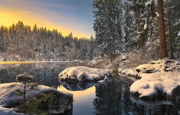Зима, лес, озеро