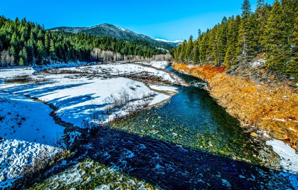Картинка зима, лес, снег, горы, река, Калифорния, California, Trinity Alps