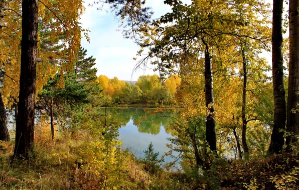 Картинка осень, лес, река, деревья.